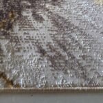 Covor Marevole Cream Beige 0067A - imagine 5